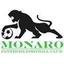 Monaro Panthers